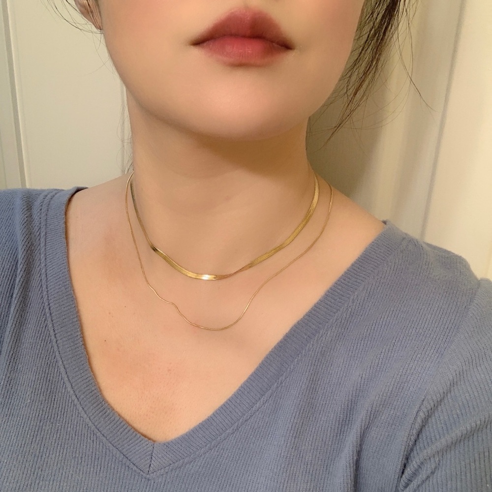 Titanium Steel Double Layer Snake Bone Chain Necklace